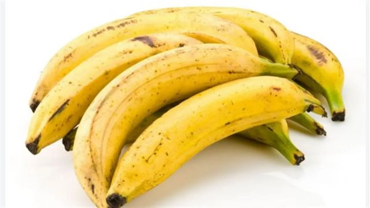 مؤشر الأسعار.. تحديث شامل لقائمة الفاكهة داخل أسواق مصر اليوم